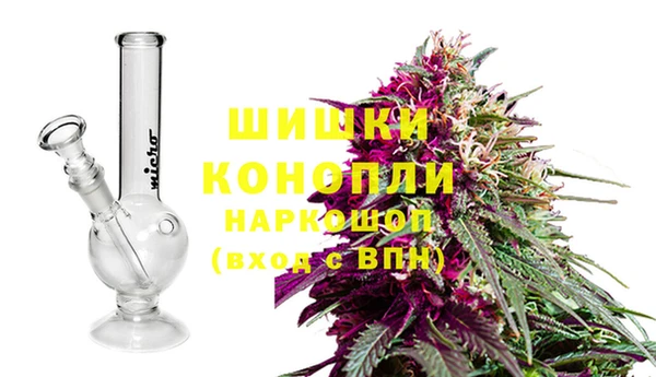 гашик Бутурлиновка