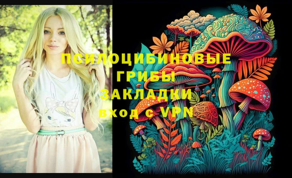гашик Бутурлиновка