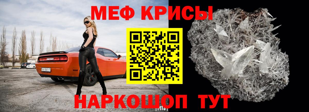 Псилоцибиновые грибы Зима