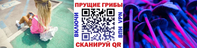 Псилоцибиновые грибы MAGIC MUSHROOMS  omg как войти  Зима 