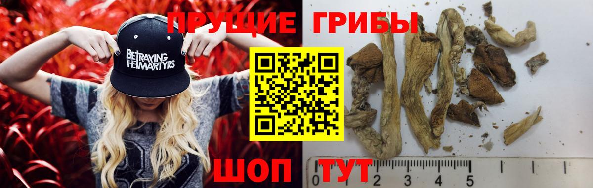 Зима  Экстази  ГАШИШ  Кокаин  Купить закладку  Вход с VPN  МАРИХУАНА  МЕФ   APVP СК кристаллы 