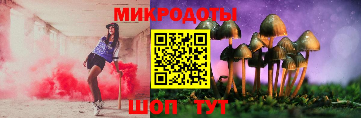 Галлюциногенные грибы Magic Shrooms Зима