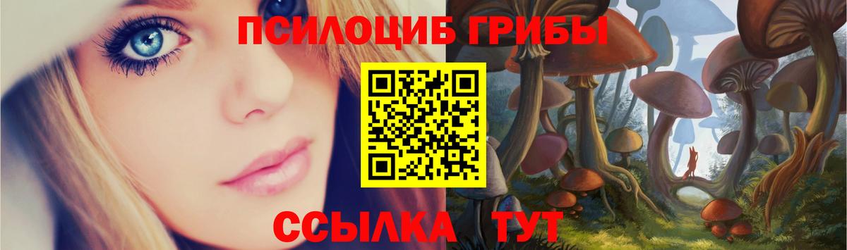 Зима  Псилоцибиновые грибы Magic Shrooms  Псилоцибиновые грибы Psilocybe  Вход с VPN 