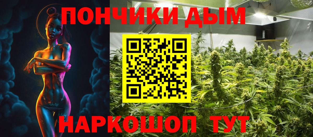 Бошки марихуана сатива Зима